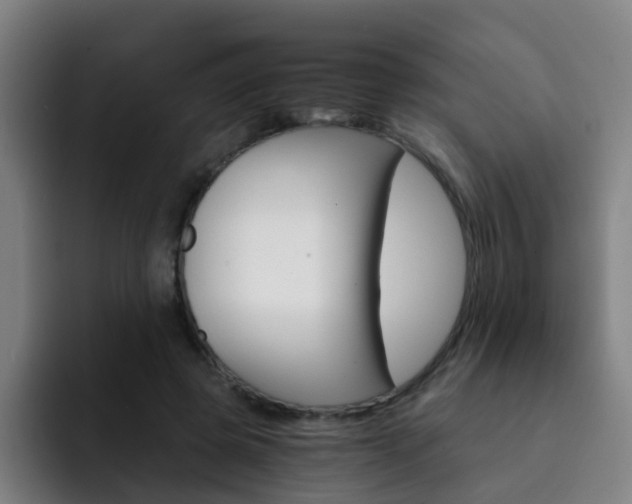 X0000093100545200709260929