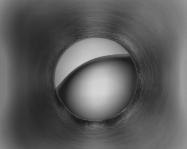 X0000093100546200709260929