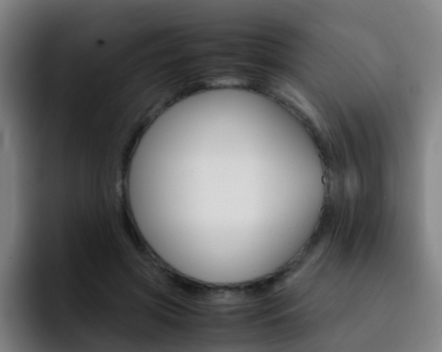 X0000093100549200709260929