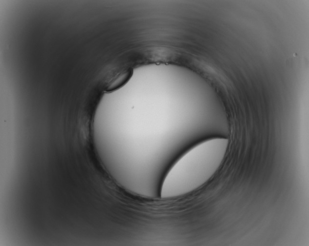 X0000093100554200709260929