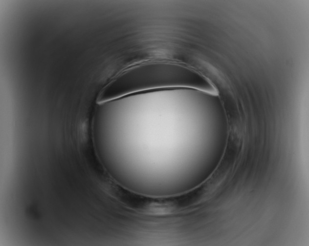 X0000093100556200709260929