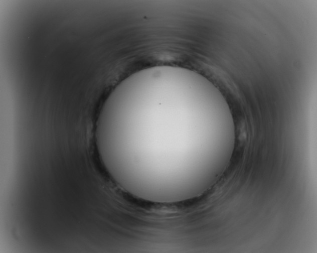 X0000093100559200709260929