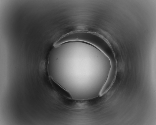 X0000093100560200709260929