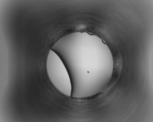 X0000093100565200709260929
