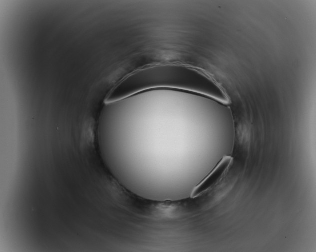 X0000093100570200709260929