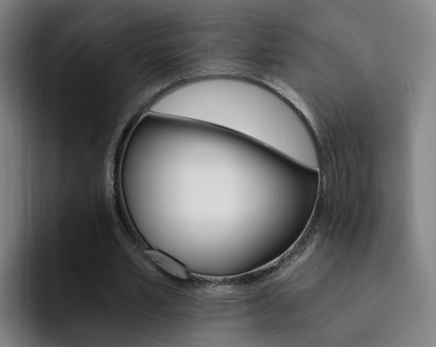 X0000093100581200709260929