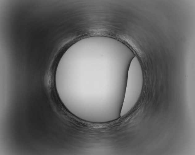 X0000093100583200709260929