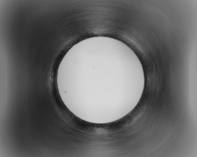 X0000093100592200709260929