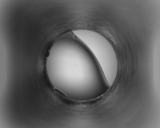 X0000093100593200709260929