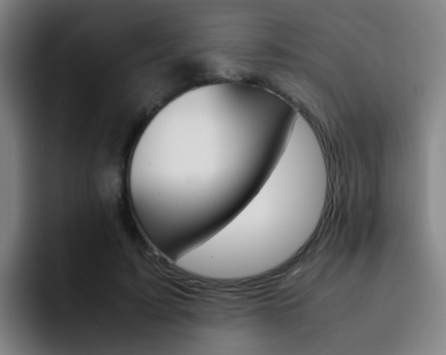 X0000093100595200709260929