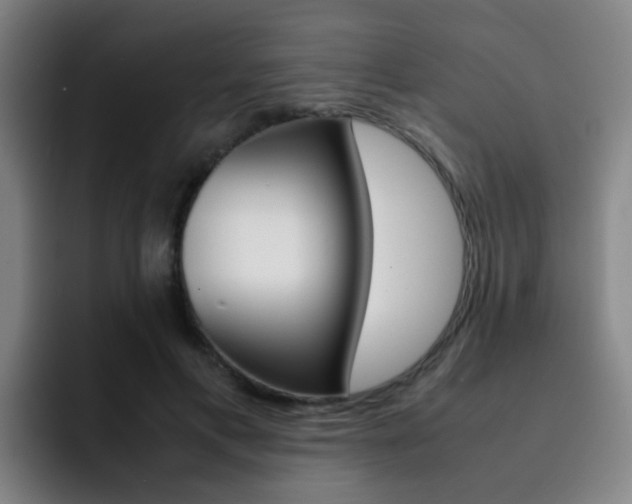 X0000093100597200709260929