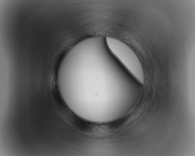 X0000093100599200709260929
