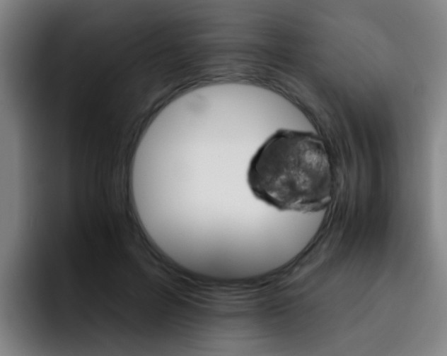 X0000093100600200709260929
