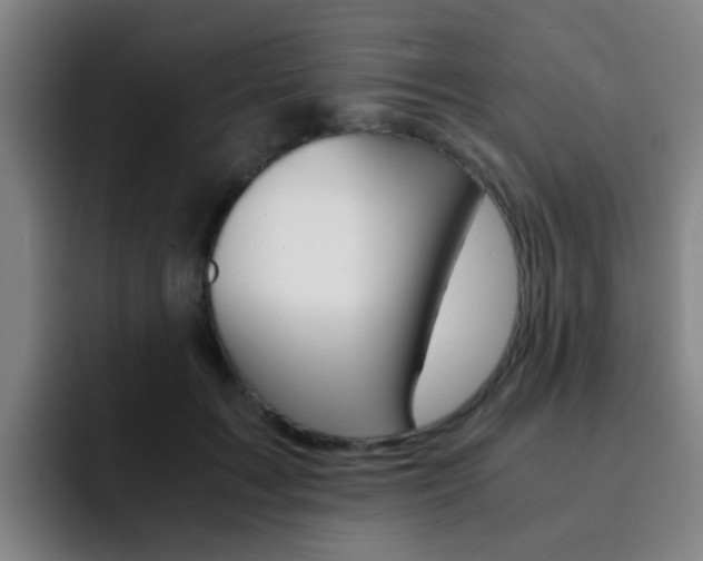 X0000093100603200709260929