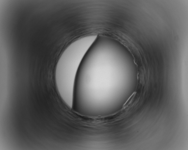 X0000093100604200709260929