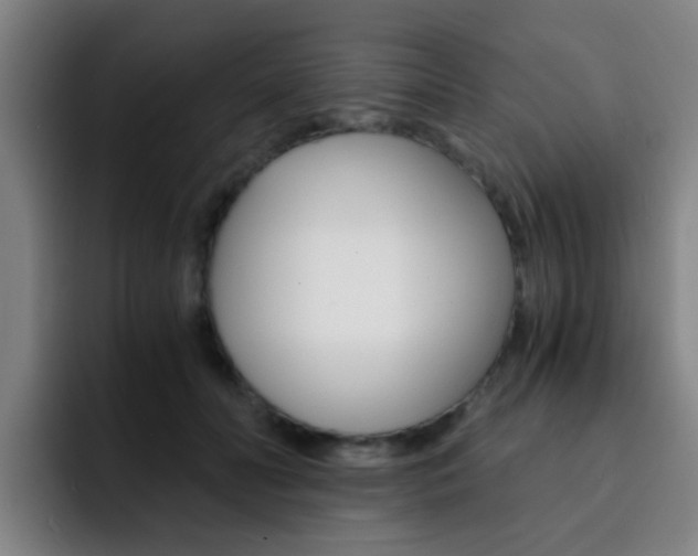 X0000093100606200709260929