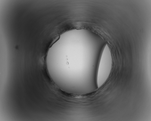 X0000093100611200709260929