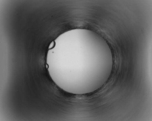 X0000093100612200709260929