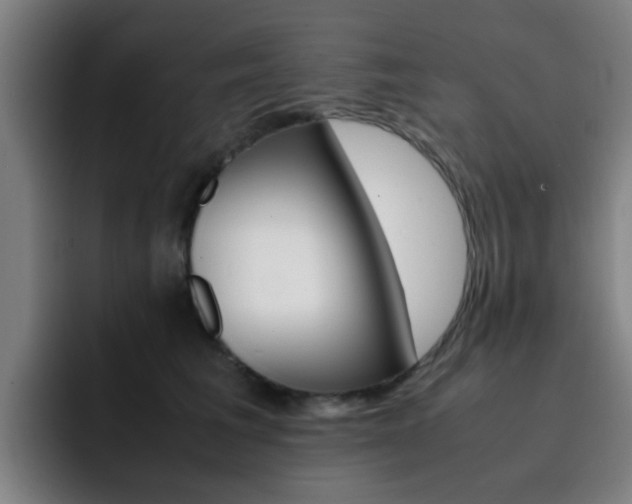 X0000093100613200709260929