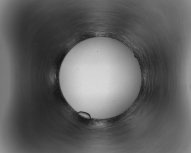 X0000093100618200709260928