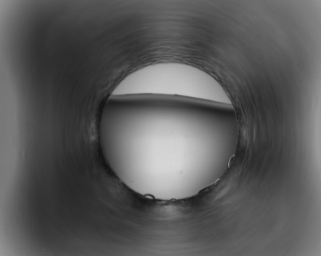 X0000093100620200709260928