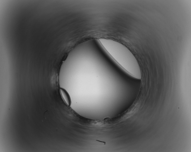 X0000093100624200709260928