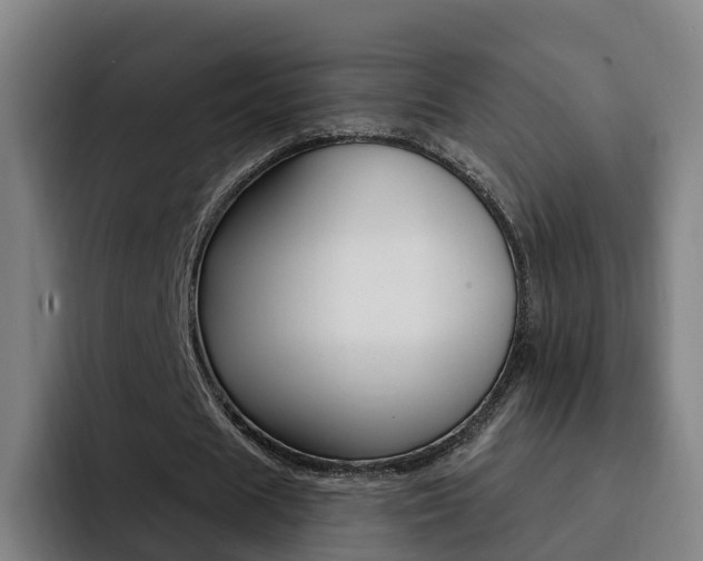 X0000093100625200709260928