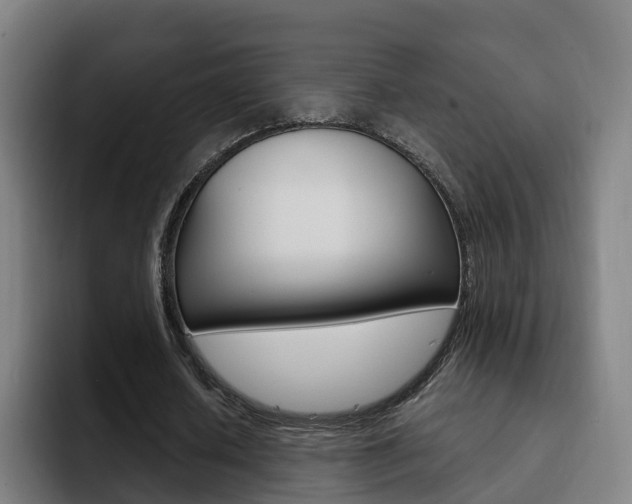 X0000093100626200709260928