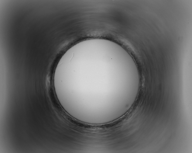X0000093100636200709260928