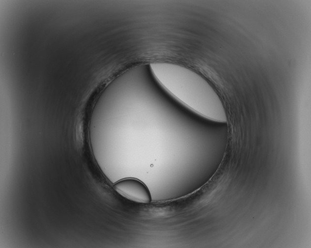 X0000093100638200709260928
