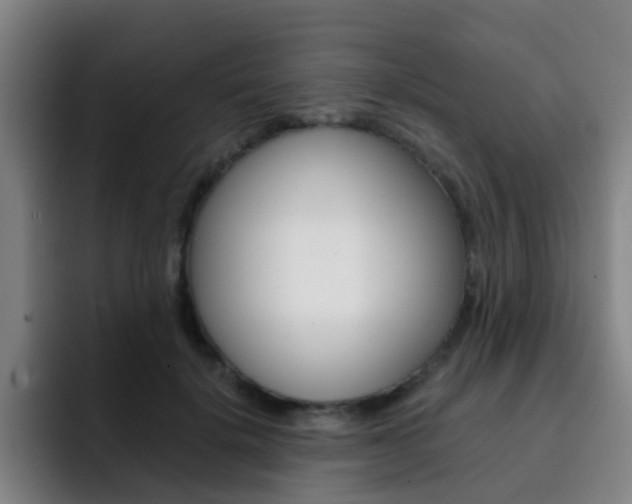 X0000093100652200709260928