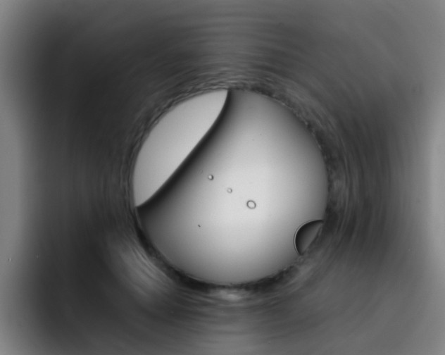 X0000093100654200709260928