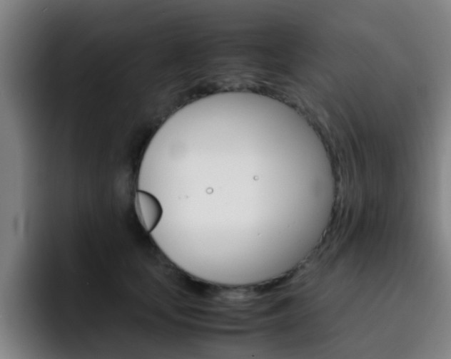 X0000093100659200709260928