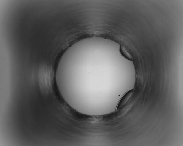 X0000093100660200709260928