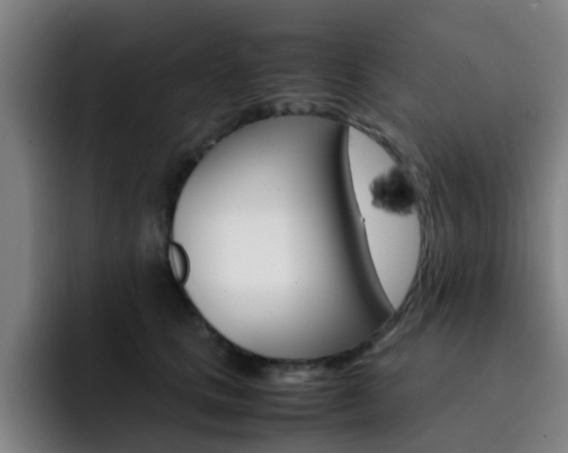 X0000093100661200709260928