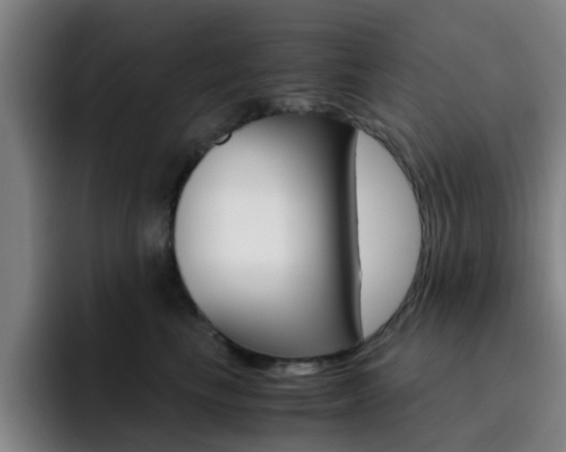 X0000093100665200709260928