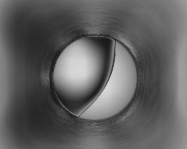 X0000093100681200709260928