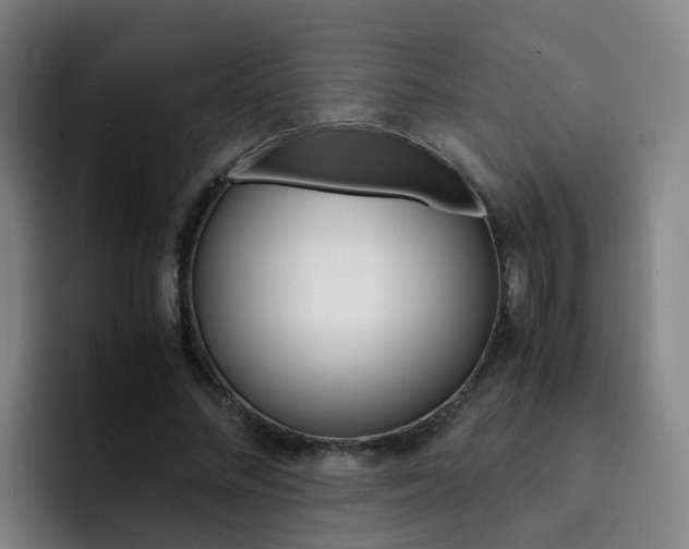 X0000093100684200709260928