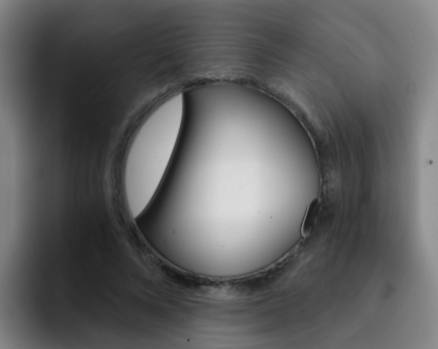 X0000093100688200709260928