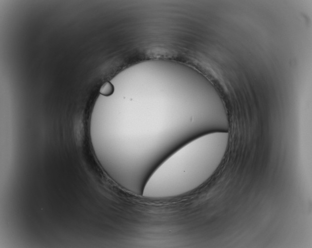 X0000093100690200709260927