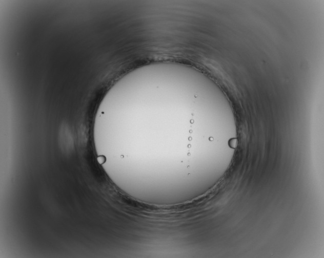 X0000093100691200709260927