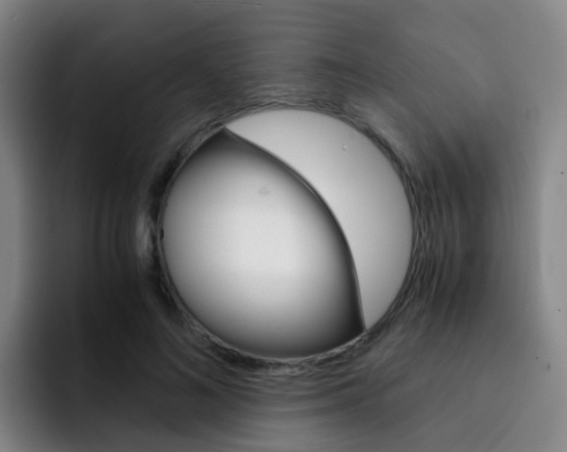 X0000093100692200709260927