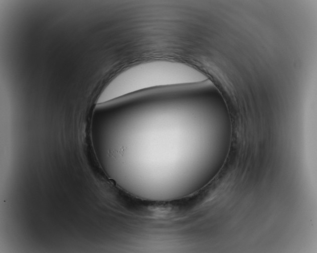 X0000093100693200709260927