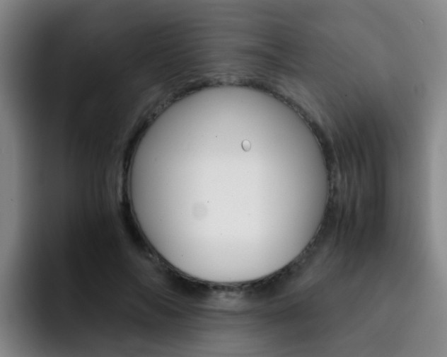 X0000093100694200709260927