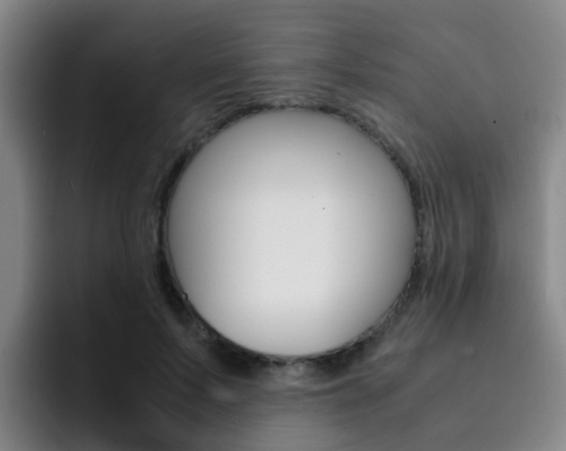X0000093100695200709260927