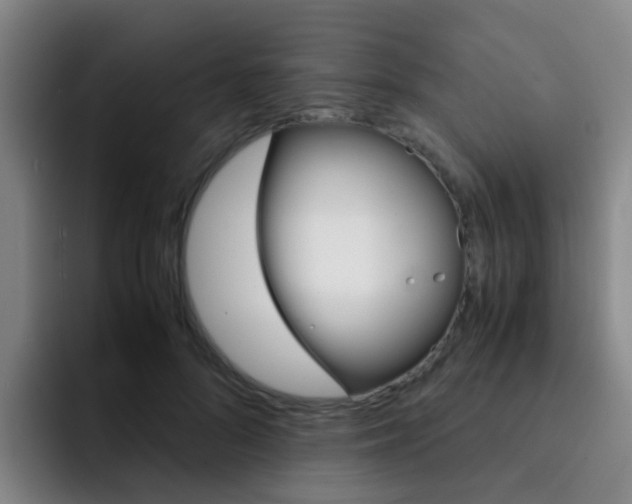 X0000093100696200709260927