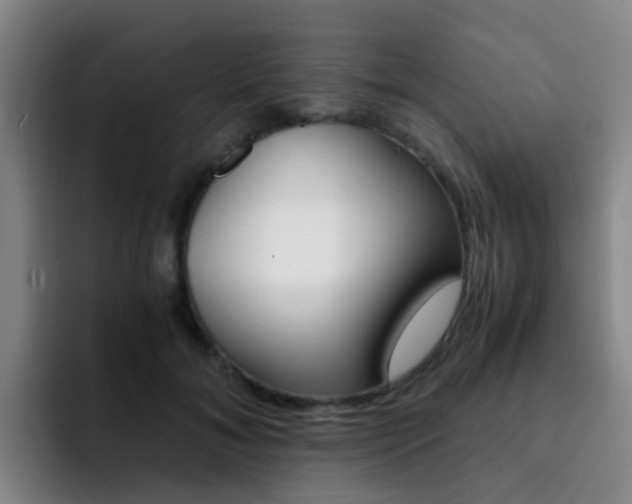 X0000093100700200709260927