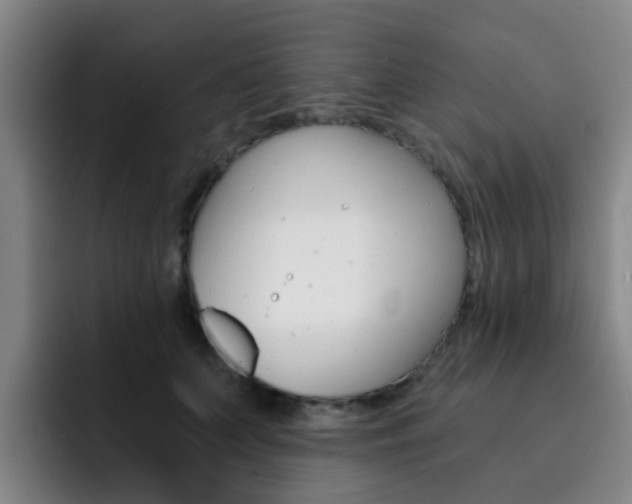 X0000093100703200709260927