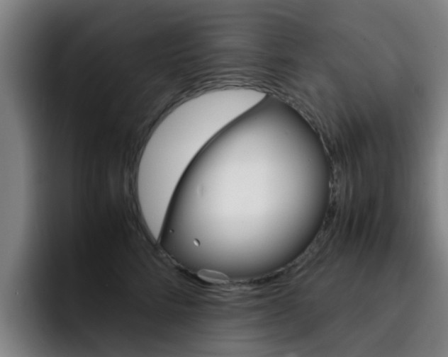 X0000093100712200709260927