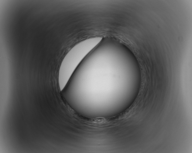X0000093100720200709260927